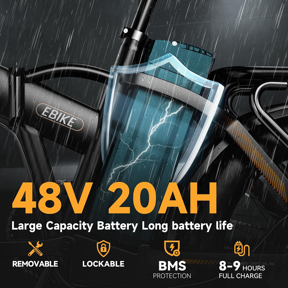 1000W, 48V 20AH Large Removable Battery E Bike