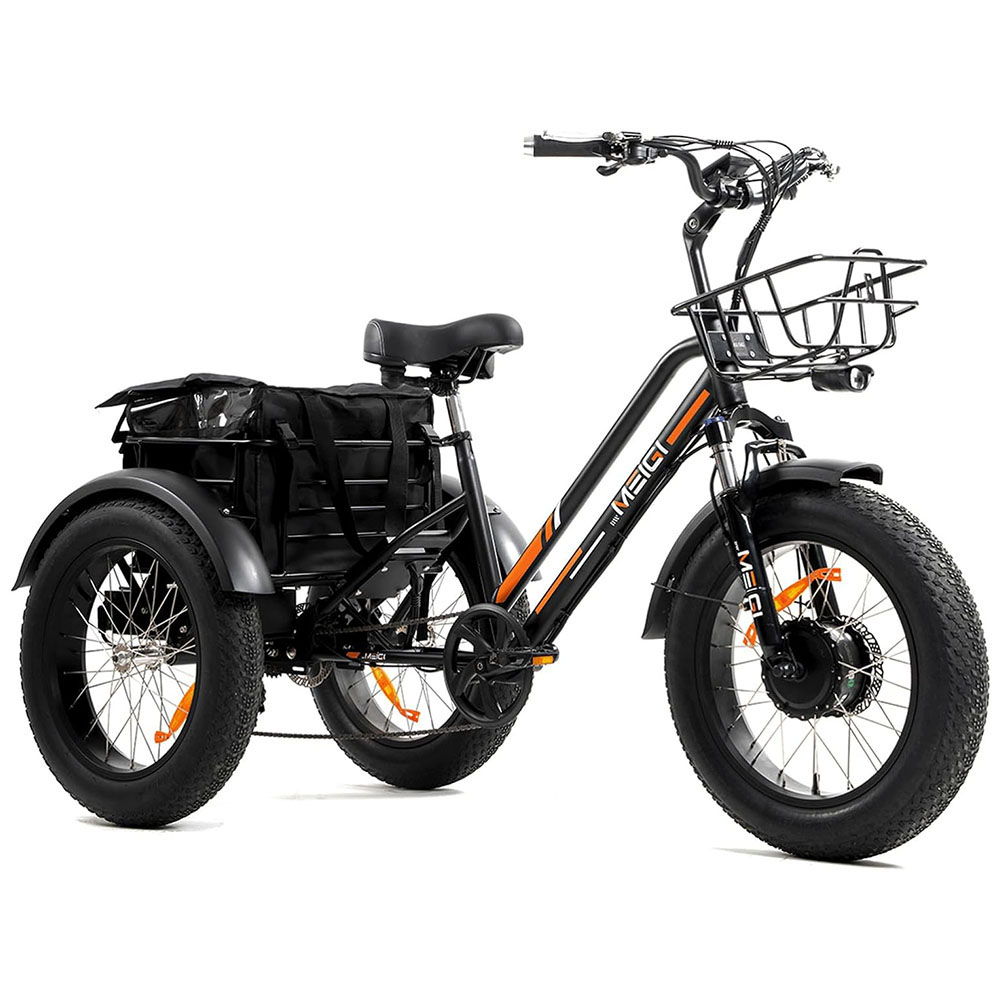 DWMEIGI 3 Wheel Electric Bike